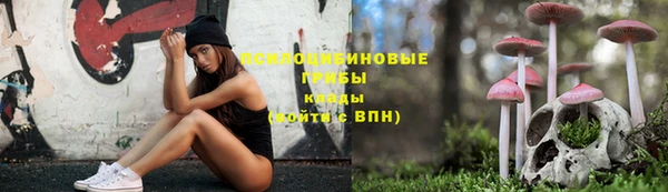 крисы Алексеевка