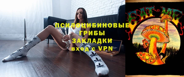 ГАЛЛЮЦИНОГЕННЫЕ ГРИБЫ Алзамай