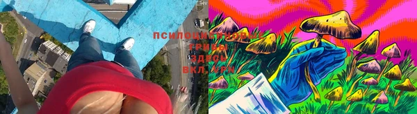 эйфоретик Алексин