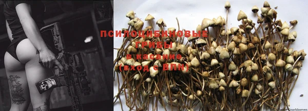 крисы Алексеевка