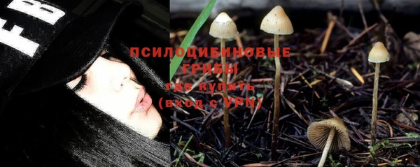 крисы Алексеевка