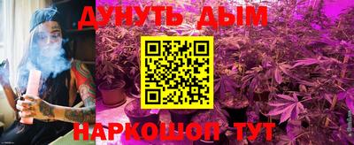 apvp Ирбит