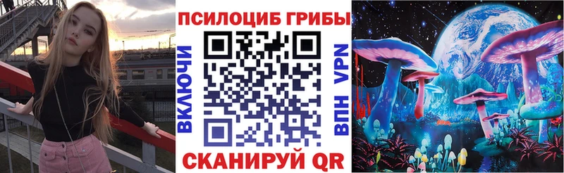 Псилоцибиновые грибы Magic Shrooms  Петрозаводск 